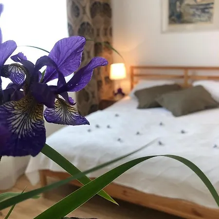 Magdalena Apartament